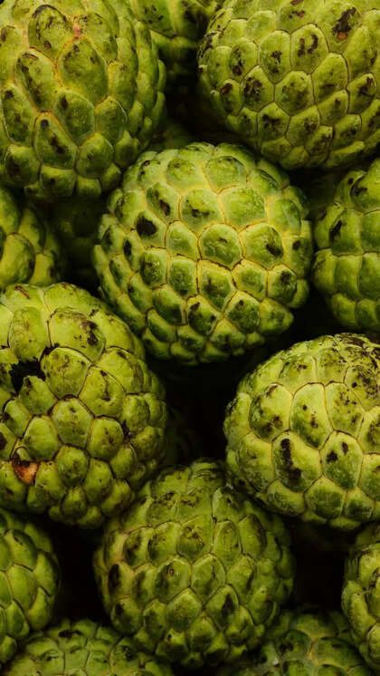 Custard Apple